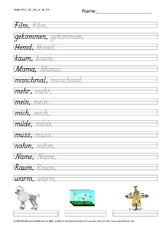 DSS_2S_Bu_m_Nr_06.pdf